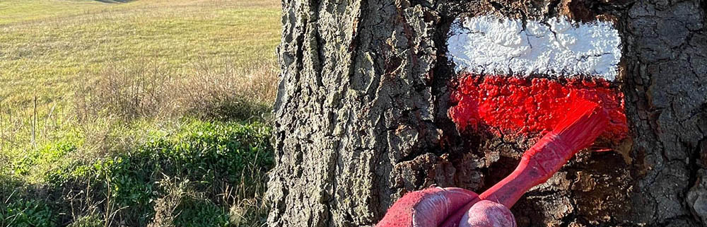 Manutenzione dei sentieri CAI Rubiera