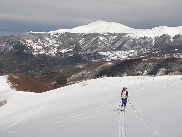 Balzo delle rose (Appennino Modenese)