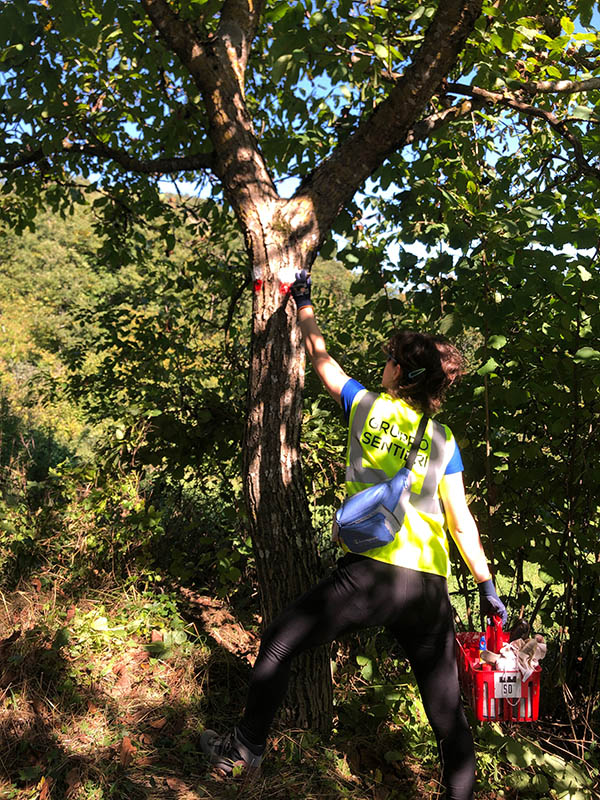 Squadra di volontari CAI al lavoro