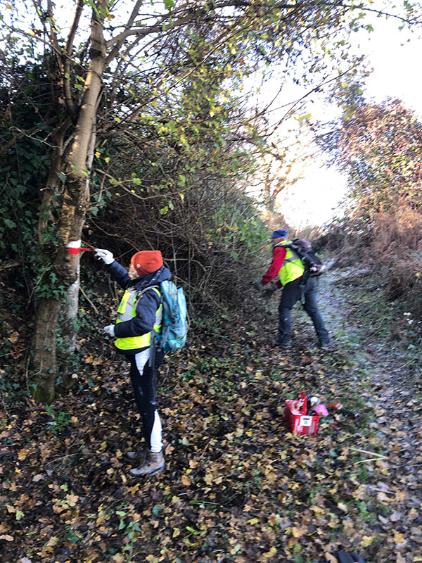 Pulizia e manutenzione segnaletica