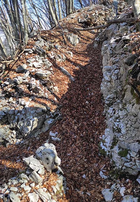 Trincee del Monte Campolongo