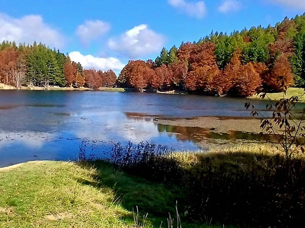Anello delle Cadoniche e Montemiscoso